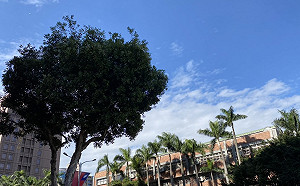 天氣回暖!各地升溫至20°C以上  僅東部零星降雨