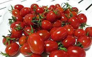 空腹吃會結石？三大番茄謠言別再誤信