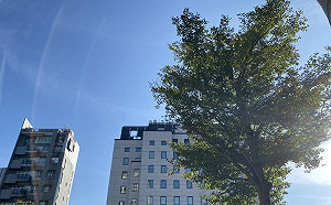 午後降雨機率高!東北季風影響北台灣明日轉濕涼