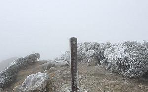 冷氣團發威！合歡山東峰披霧淞成雪白世界