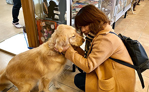 武漢肺炎》寵物也會感染?OIE:無證據證明