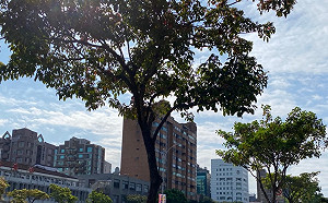 輻射冷卻超冷！18縣市低溫特報  台南以北今晚下探10度