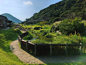 搶救觀光業！交通部紓困方案今天公告開放業者申請