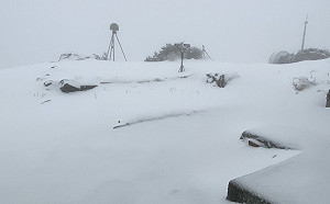 玉山降下4月雪！積雪14.5公分成銀白世界
