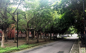 快訊》台師大再傳疑似確診案例！校長15時親上火線說明