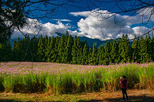 防疫之餘喘口氣！福壽山農場醫護人員優惠方案延長至12月底