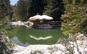 武漢肺炎》少群聚！清大攜哈佛分析大數據：台灣這5縣市感染率最高