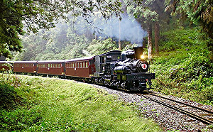 武漢肺炎》五一連假別鬆懈！5大場所防疫管制措施一次看