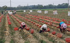 《農保法》三讀通過！一圖看農委會4年試辦成果