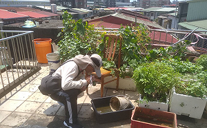 梅雨季淹水「易生菌」！搞懂遠離三大疾病預防措施