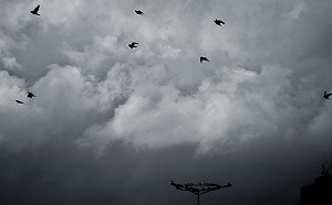 外出帶傘全台有雨！ 中南部留意雷陣雨