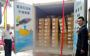 拓展新市場！國產石斑魚前進美國外銷量成長556％