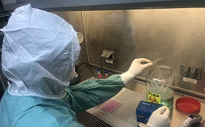 武漢肺炎》振奮好消息！長庚研發抗體藥物  抑制病毒能力高達9成