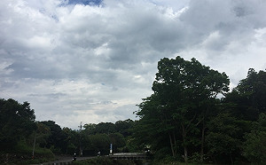 高溫略降至31度！西半部留意短暫雷陣雨