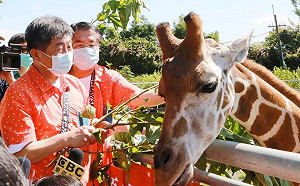 陳時中穿亮橘色花襯衫逛頑皮世界！上演長頸鹿、水豚餵食秀