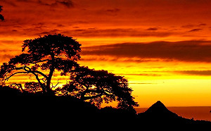 省時又可享優惠！12處國家森林遊樂區可網路購票入園