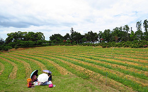 農遊專用！每人250元電子抵用券月底上路