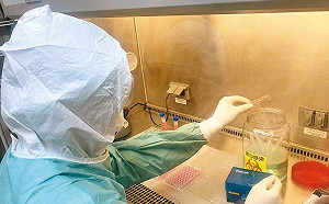 武漢肺炎》最快年底可上市！5種治療藥物開發現況一覽