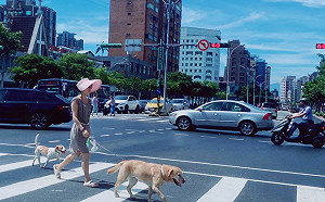 熱昏頭！8縣市高溫上看36度 酷熱天氣持續到下週一