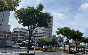 全台多雲到晴上看33度！觀賞日環食機率高