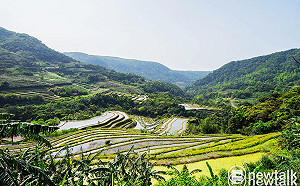 石門嵩山袐境包你感動！遊百年梯田不必跑到烏布啦