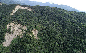 避免前往！花蓮舞鶴山區崩塌地持續下滑