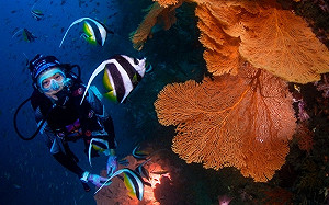 年滿10歲就能體驗！專人帶領安全探索潮境公園繽紛水下世界