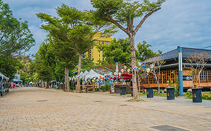 別誤認為中暑而錯失急救！天熱頭暈小心是中風
