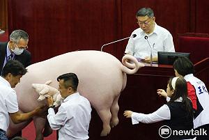 柯文哲施政報告 國民黨團扛「粉紅豬」逼對美豬表態