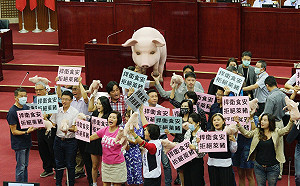 串聯反萊豬 國民黨北市議會黨團：綠應效法林淑芬反映民意