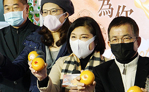 豬肉儀表板被抓包掛零 張麗善：政府不該帶頭說謊作假