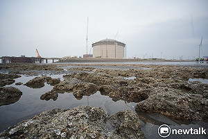 學界發起連署 促藻礁對話平台盼找雙贏方案 首日破百學者支持