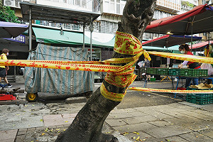 吳瑟致觀點》以不變應萬變，錯！快改變習慣找出自己的防疫新生活吧！