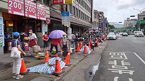 北市行道樹遭砍除 議員砲轟「柯文哲還我樹」要求暫緩施工召開說明會