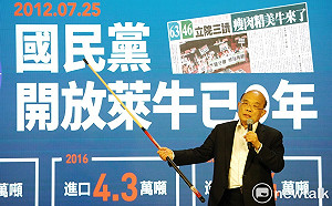 「不能讓國民黨再亂下去」 賴清德、蘇貞昌疾呼公投應要四個不同意