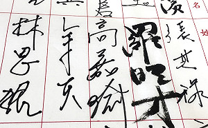 驚傳被施暴 高嘉瑜一早立院簽到隨即神隱