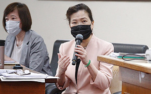 加入印太經濟架構？王美花：台美有溝通管道