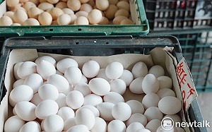 雞蛋產地價每台斤擬漲3元  最晚3日議定