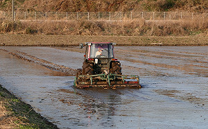 方儉福島紀行3》 你吃的是什麼米？知道哪裡的？有選擇嗎？