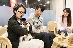 場地只借張智倫？吳崢批新北不中立 坦言民調誤差範圍落後、憂心中和未來