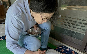 曝卸任後有時間陪家人  蔡英文籲國人「珍惜親友相處的時光」