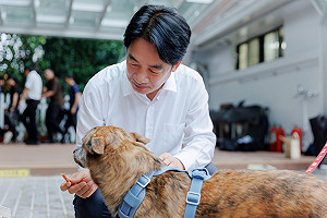 賴清德收養毛孩斑斑入官邸 吳思瑤盼帶愛犬ZaZa交朋友