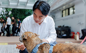 賴清德收養毛孩斑斑入官邸 吳思瑤盼帶愛犬ZaZa交朋友