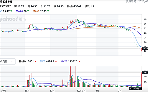 超戲劇化發展！連亮8根跌停後 台揚今轉攻漲停