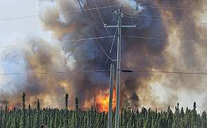 加拿大野火釀1.7萬人撤離 煙霧恐擴散至美國!卡尼總理派軍支援