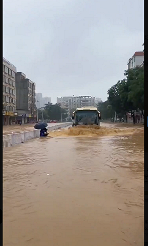 (影) 兩廣城市泡水3天 水位還在漲! 豬在街上游泳 民譏 : 只要不下雨就不淹水