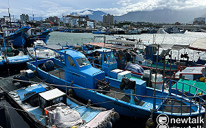 「丹娜絲」颱風影響！7/7離島124航次船班停航