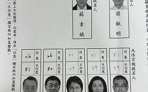 綠委否決 2 名大法官提名人　許智傑：這才證明民進黨不是獨裁