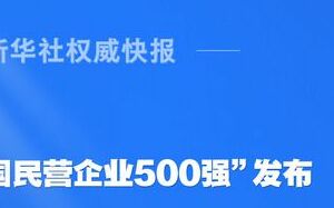 中國公布2025民營企業500強  京東、阿里巴巴、恆力蟬聯前三