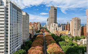 在北市買房設門牌要準備多少?大安區最高  這區竟比信義、松山還貴